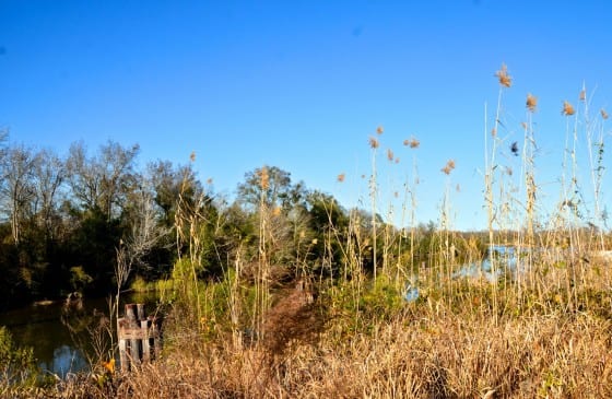 Mobile Residents Say No to Canadian Tar Sands Crude Oil Tank Farm | New ...