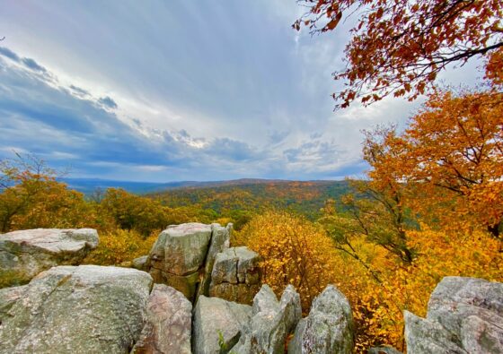 Capturing Fall Foliage Pictures In Maryland’s Catoctin Mountain Park 