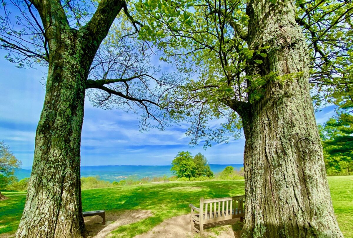 IMG 4505 1200x812 - Shenandoah National Park to Privatize Campgrounds with No Opportunity for Public Comment