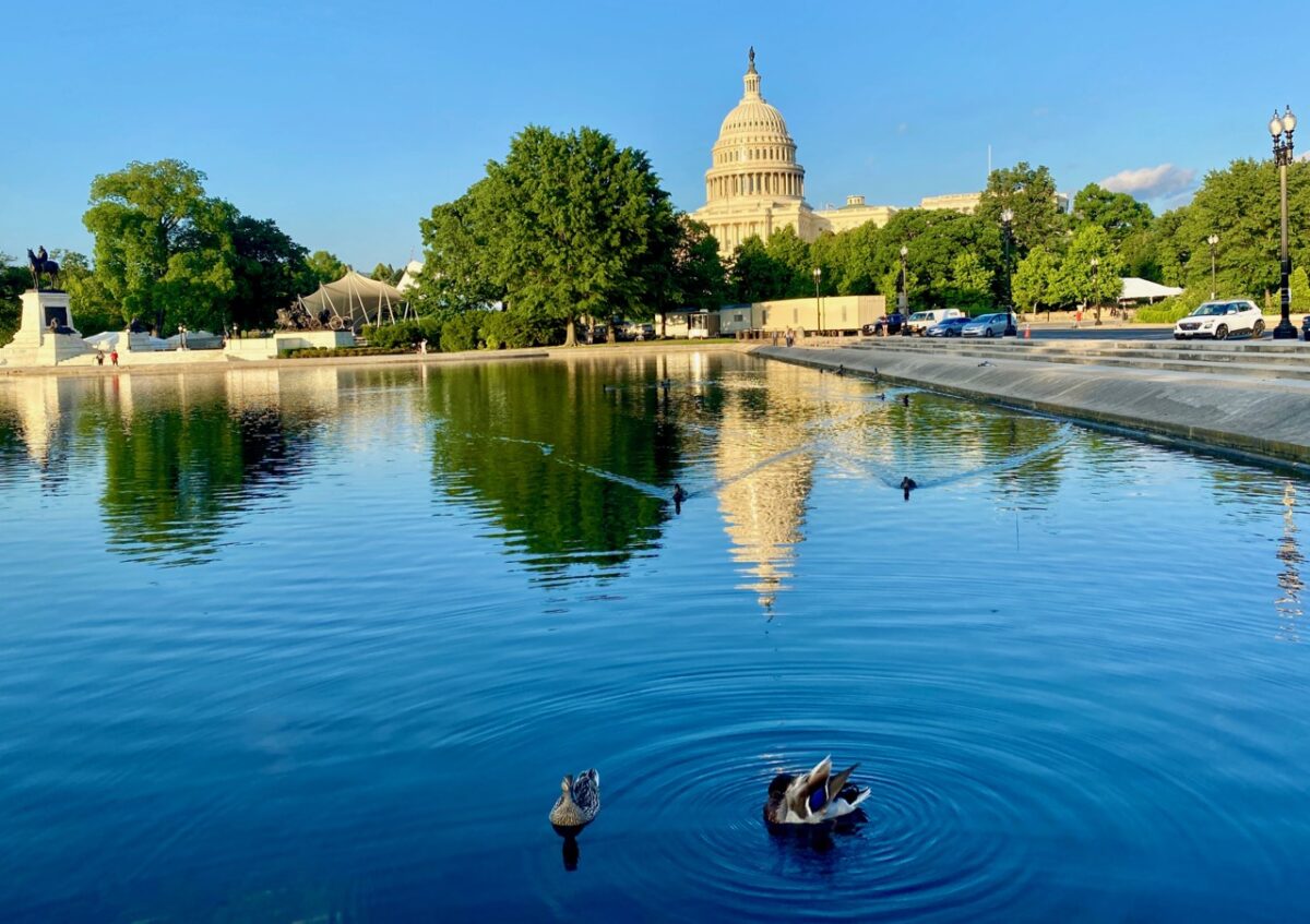 IMG 4687 1200x847 - Contemplating the Future of Democracy on a Spring Day in Washington