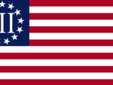 3percenter flag 160x120 - Justice Samuel Alito Took Luxury Fishing Vacation With Republican Billionaire Who Later Had Cases Before the Court